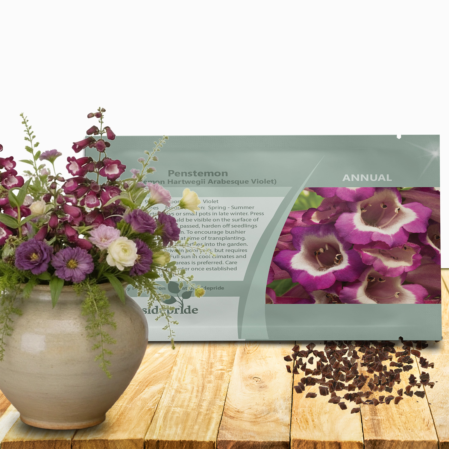 Penstemon Violet Seed Packet