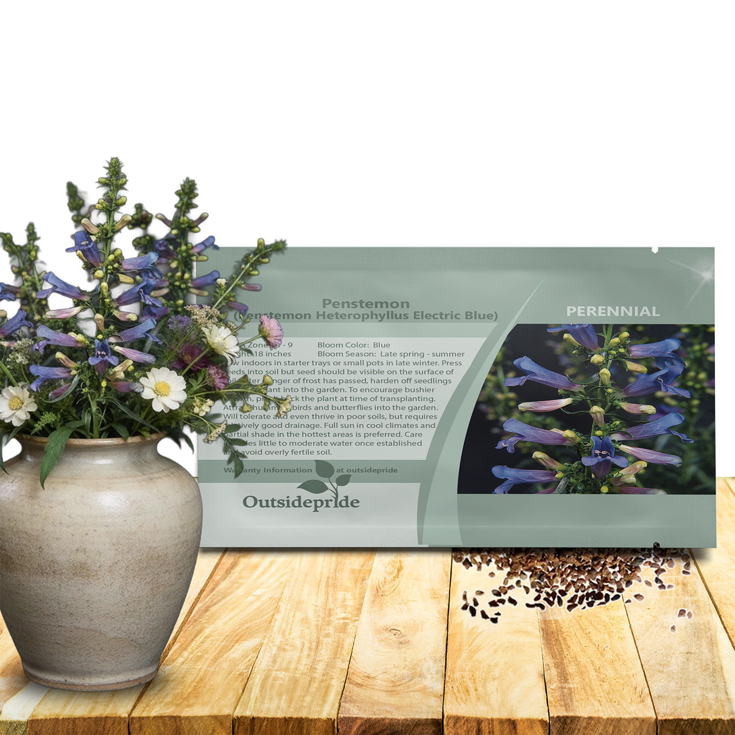 Penstemon Electric Blue Seed Packet