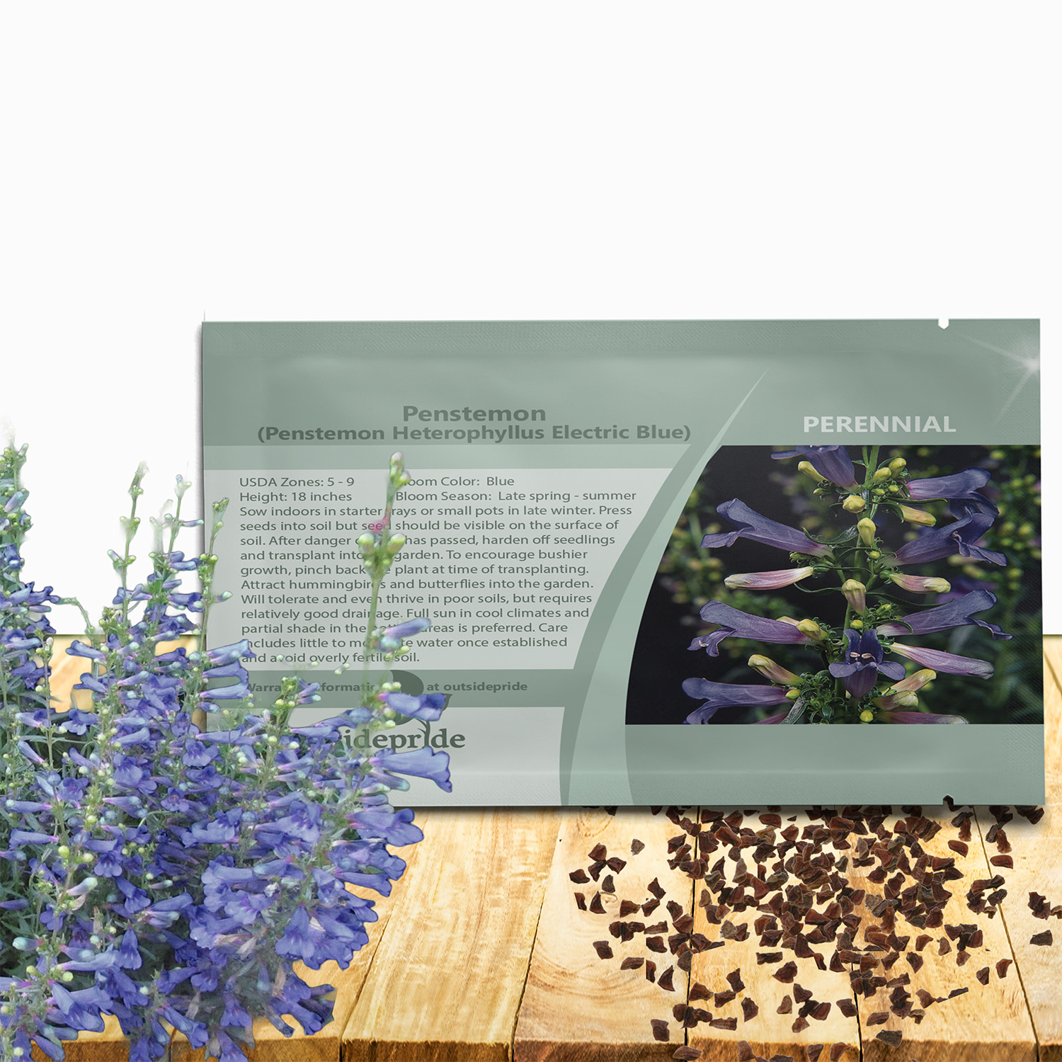 Penstemon Electric Blue Seed Packet