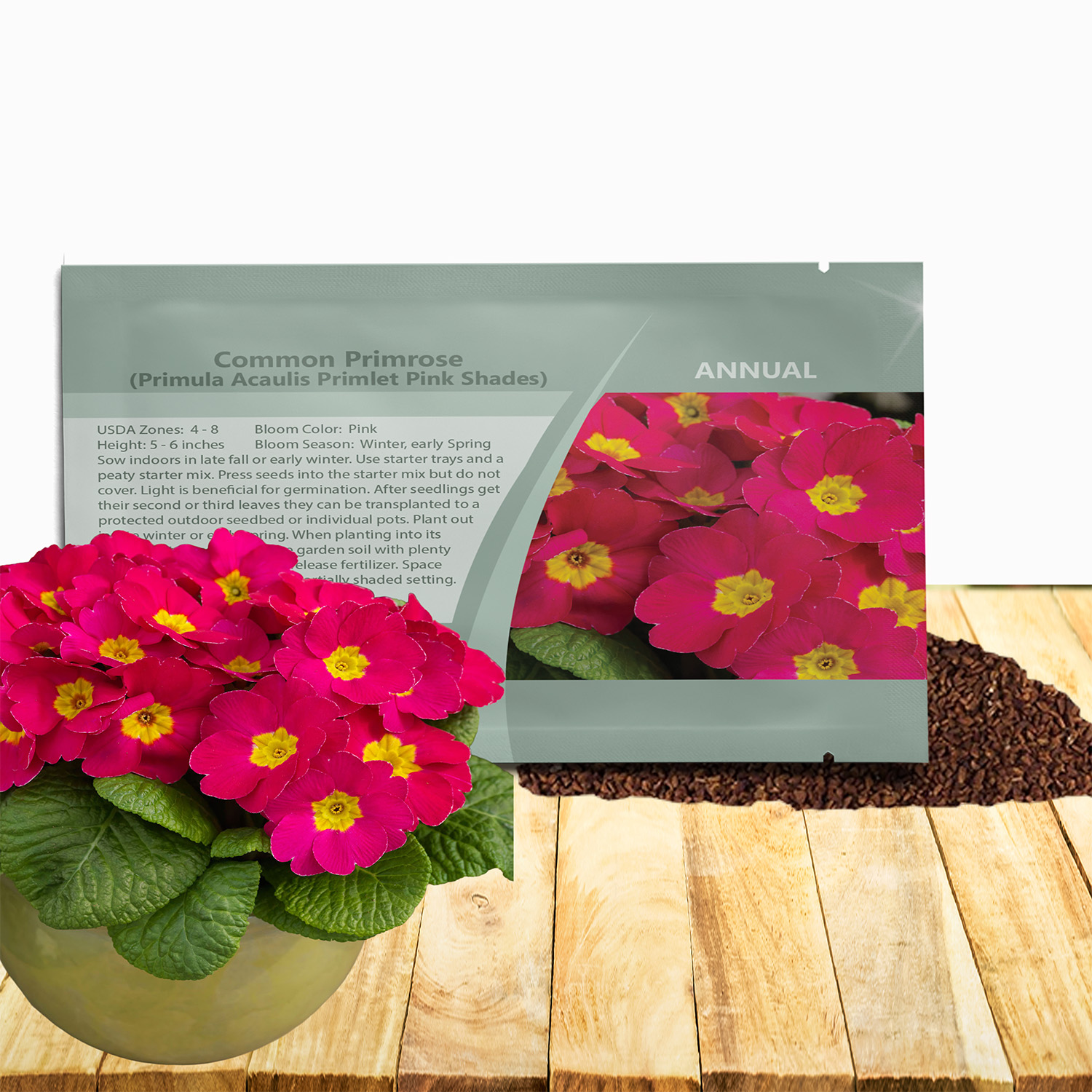 Common Primrose Pink Shades Seed Packet