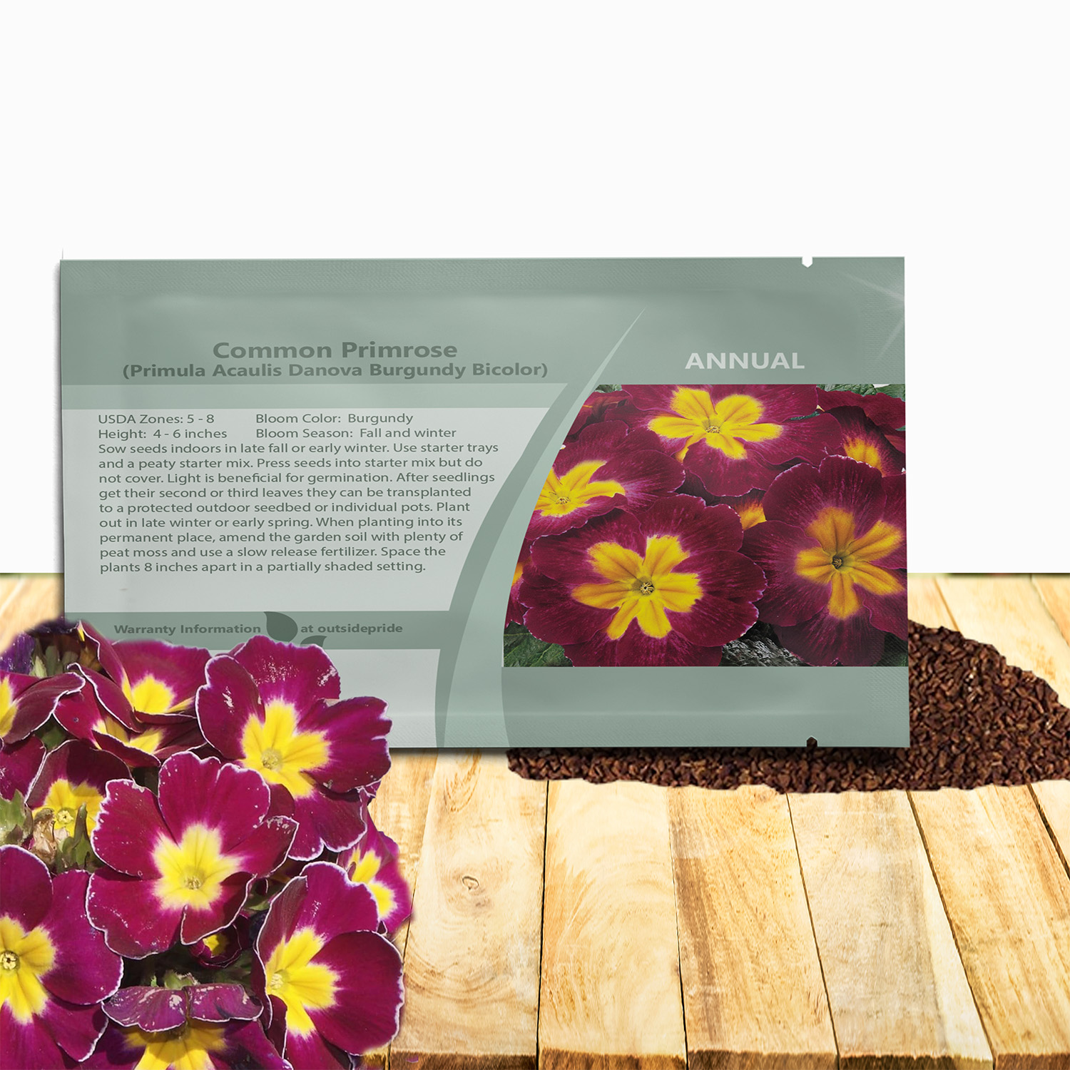 Common Primrose Burgundy Bicolor Seed Packet