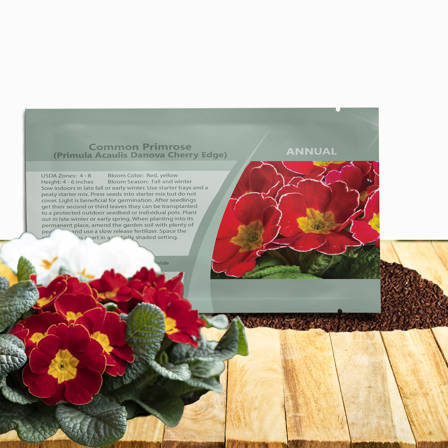 Common Primrose Acaulis Danova Cherry Edge Seed Packet
