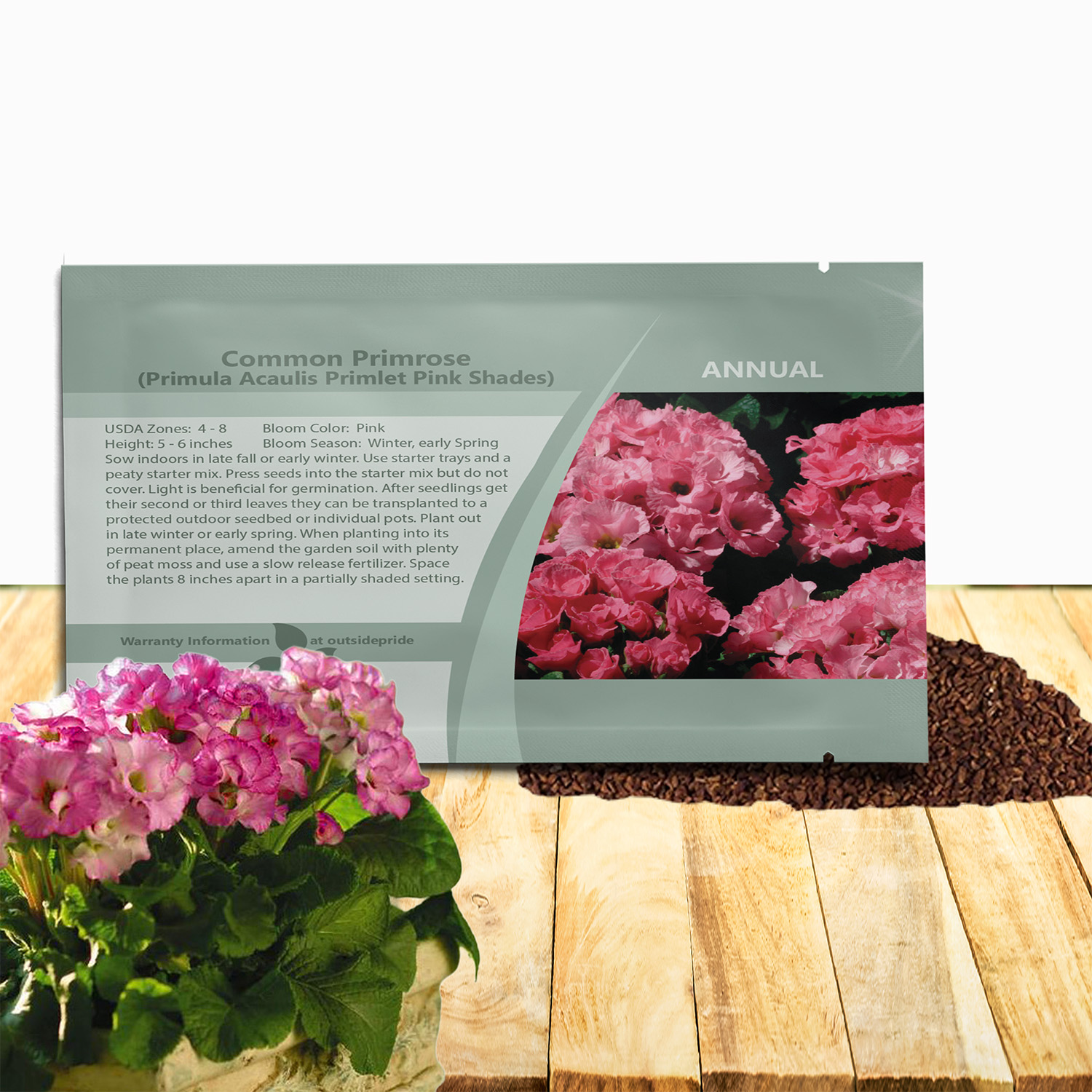 Common Primrose Primlet Pink Shades Seed Packet