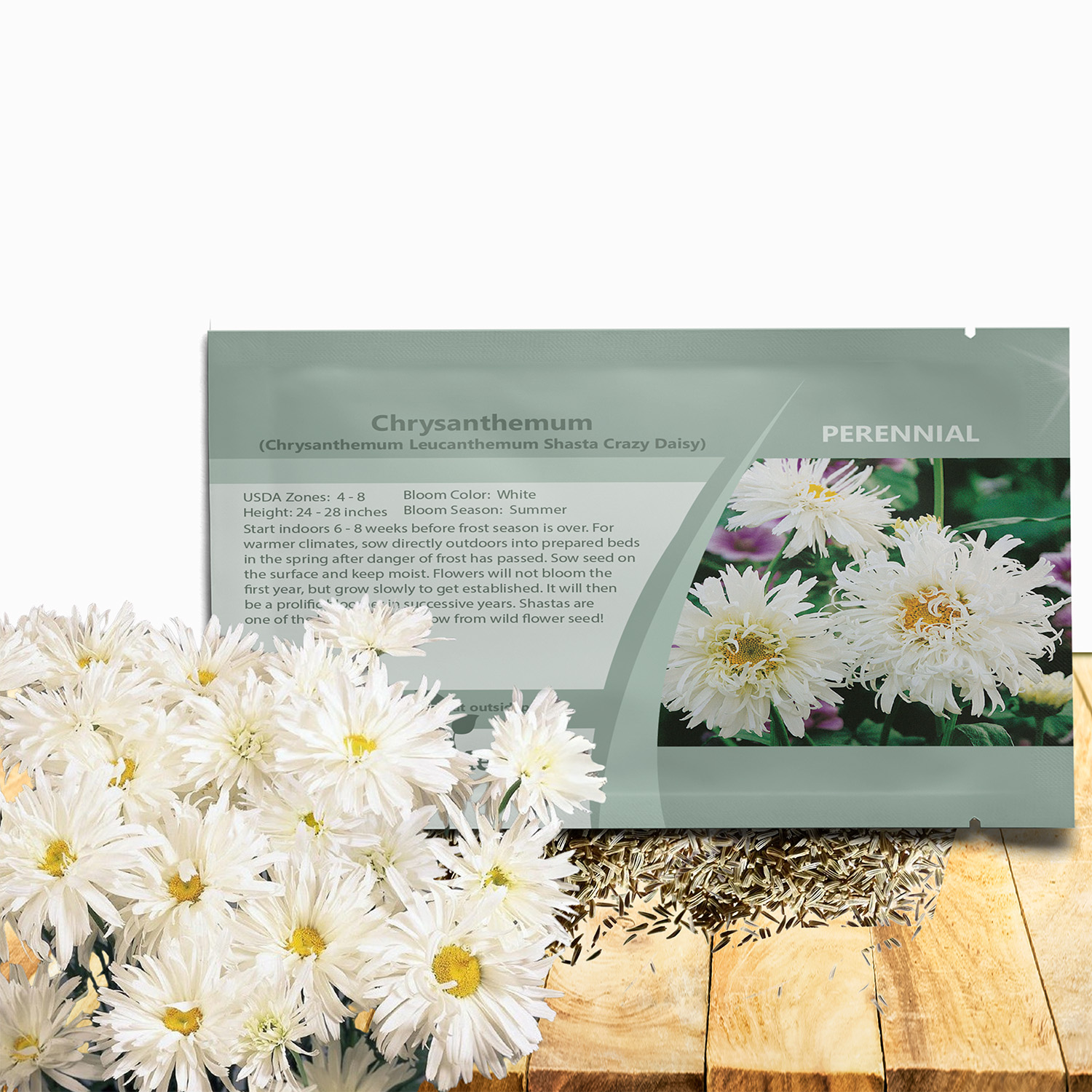 Shasta Daisy Crazy Daisy Flower Seed Packet For Planting