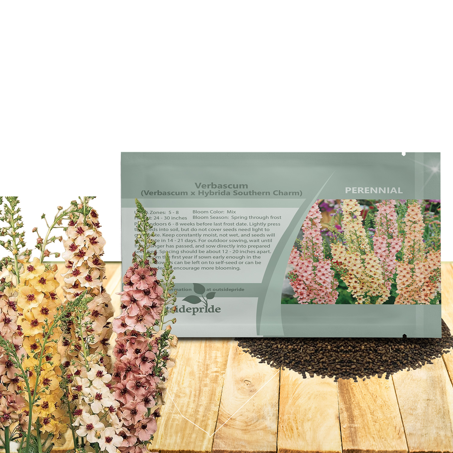 Verbascum Southern Charm Flower Seed Packet