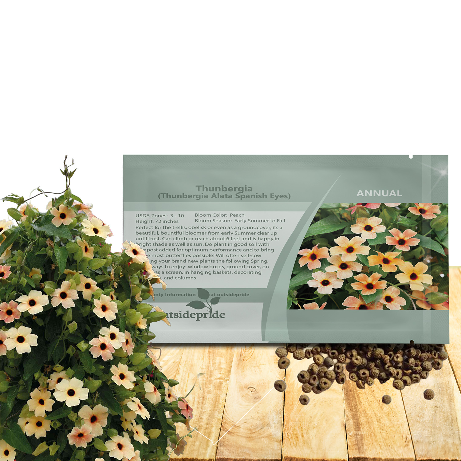 Thunbergia panish Eyes Seed Packet