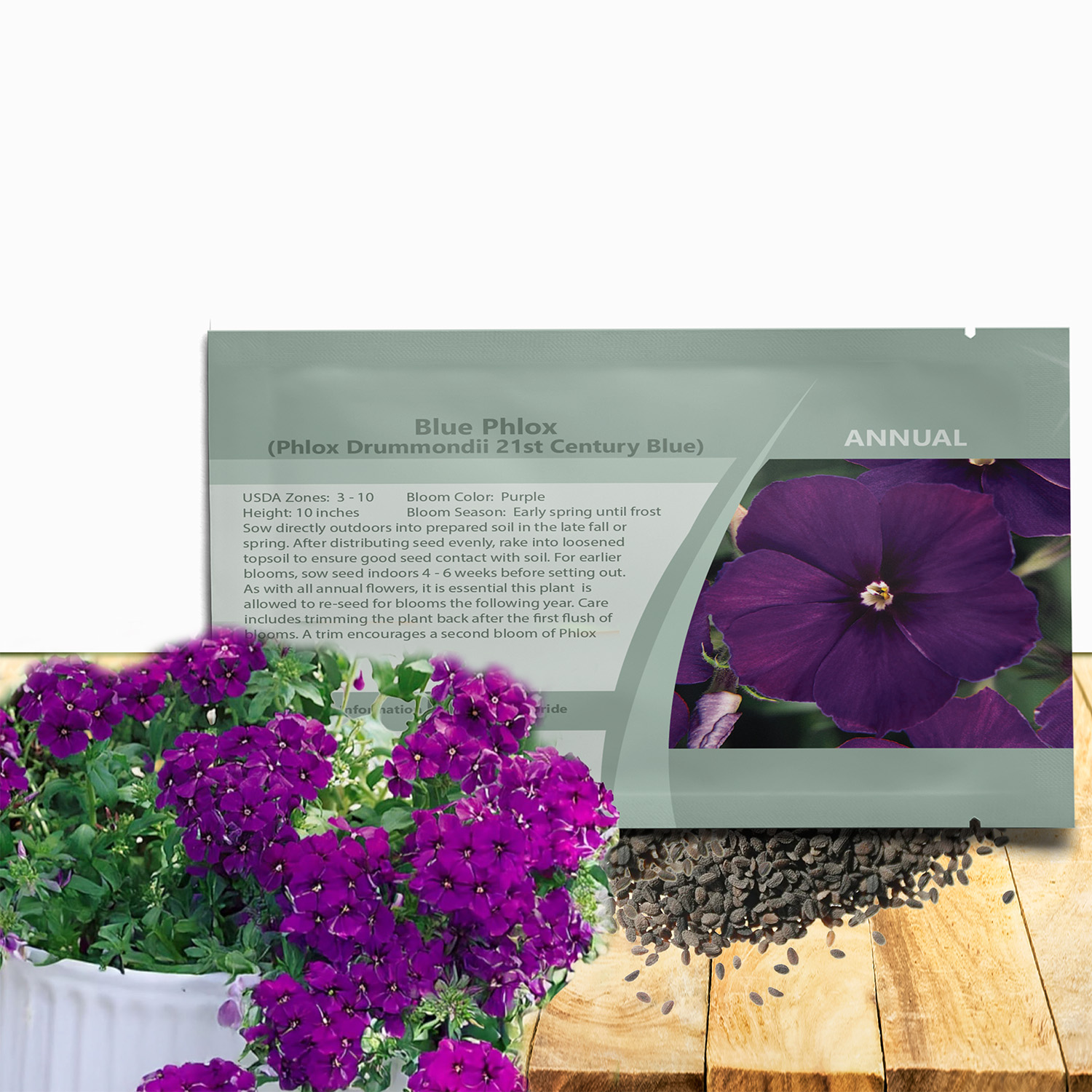 Phlox 21st Century Purple Seed Packet