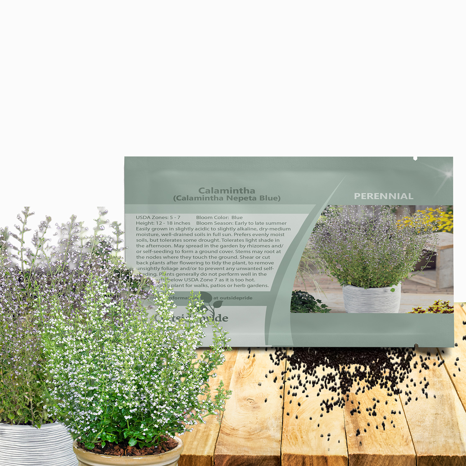Calamintha Nepeta Mix Herb Garden Seed Packet