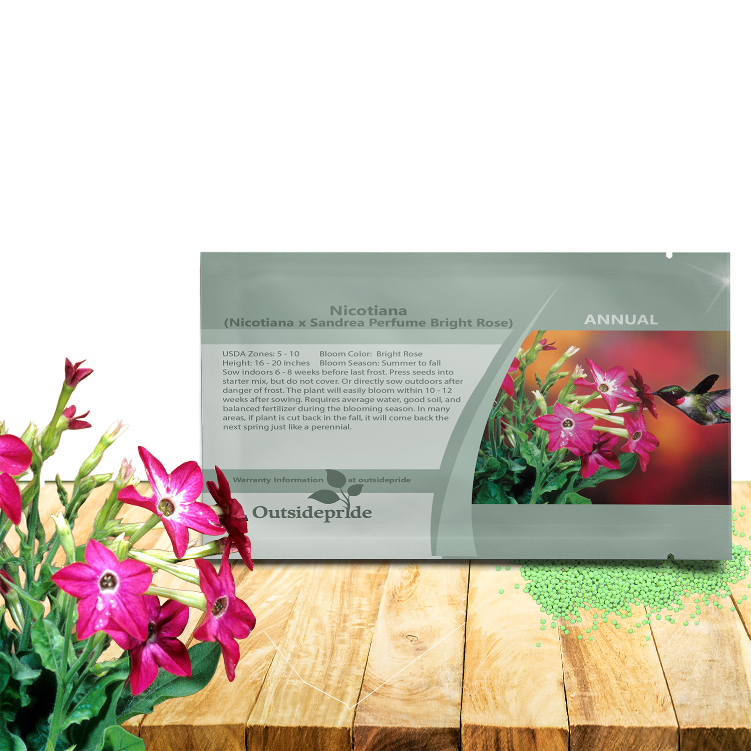 Nicotiana Perfume Bright Rose Seeds For Planting