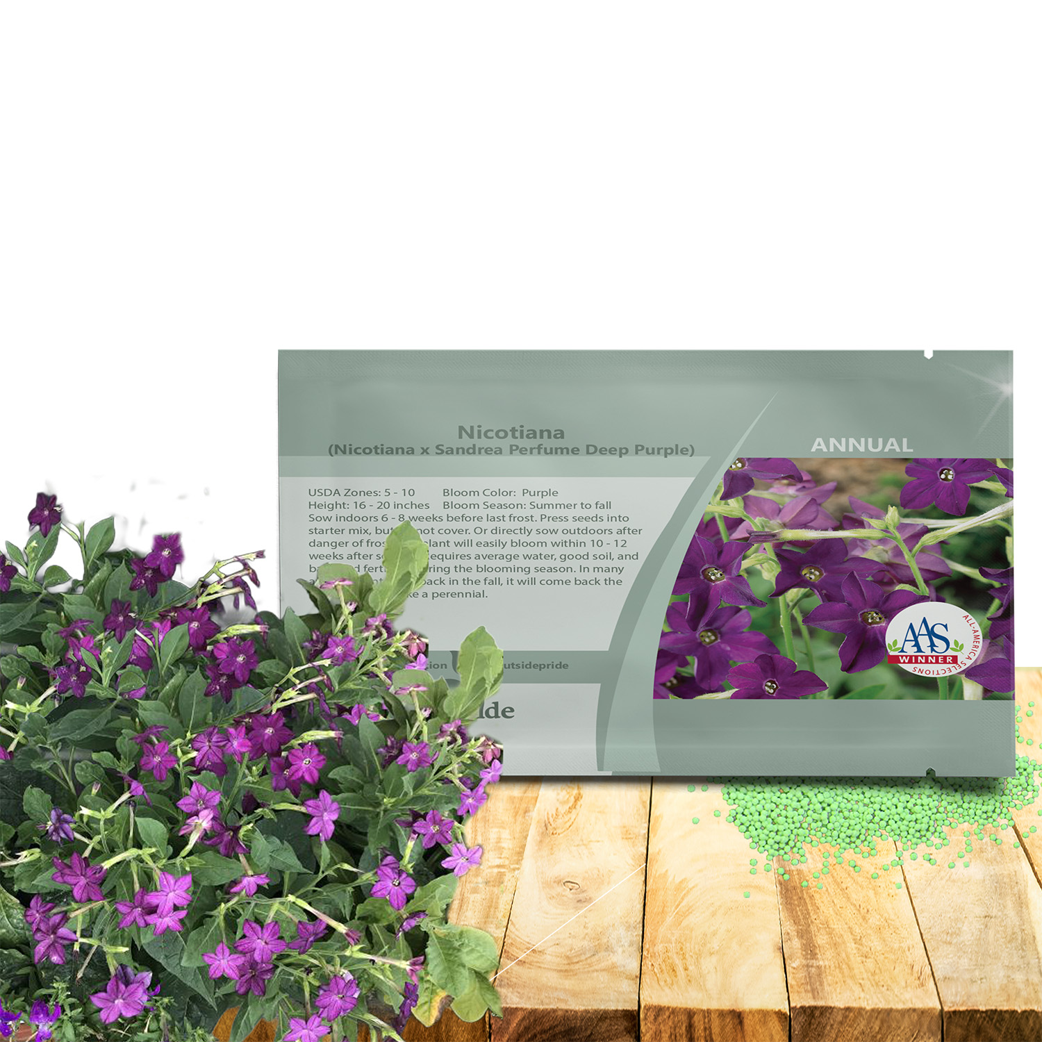 Nicotiana Perfume Deep Purple Seeds For Planting