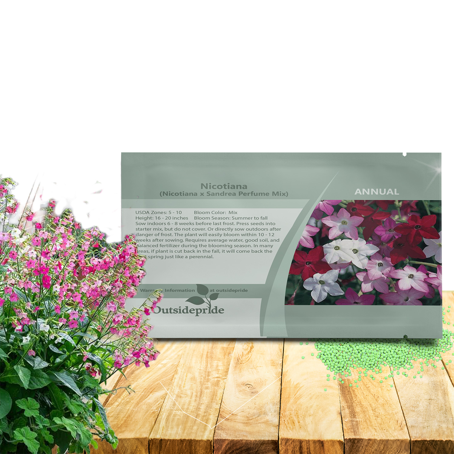 Nicotiana Perfume Flower Seed Packet