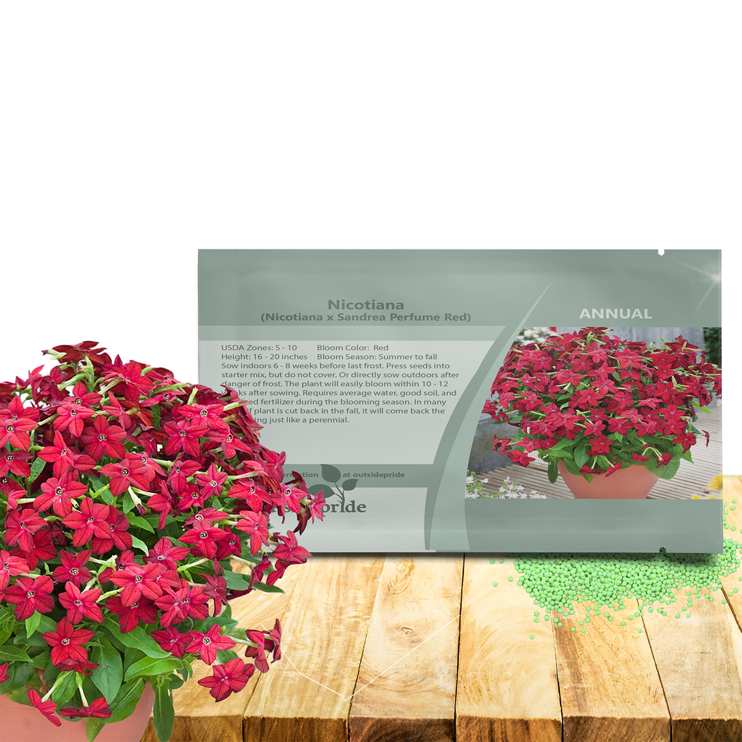 Nicotiana Perfume Red Flower Seeds For Planting