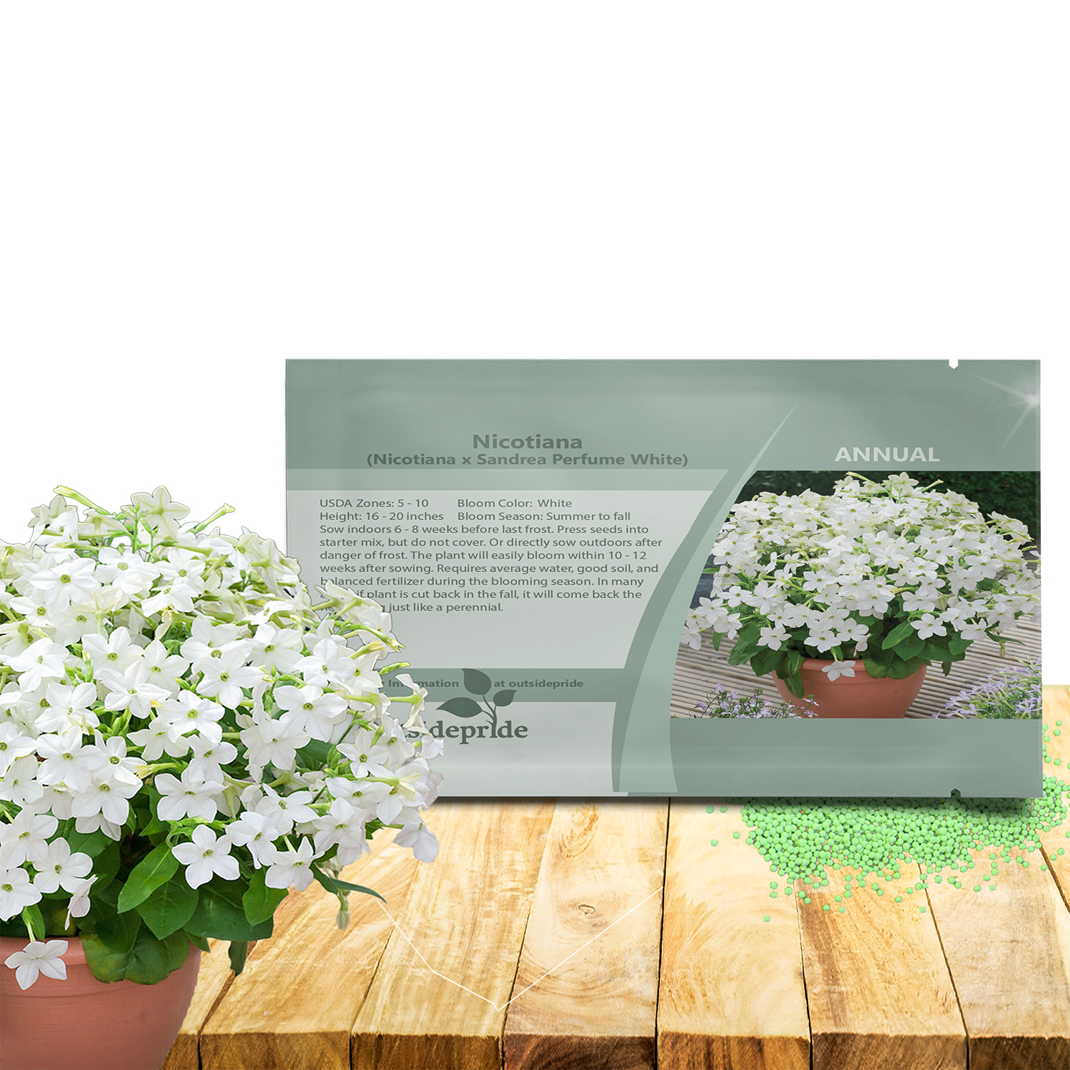 Nicotiana Perfume White Flower Seeds For Planting