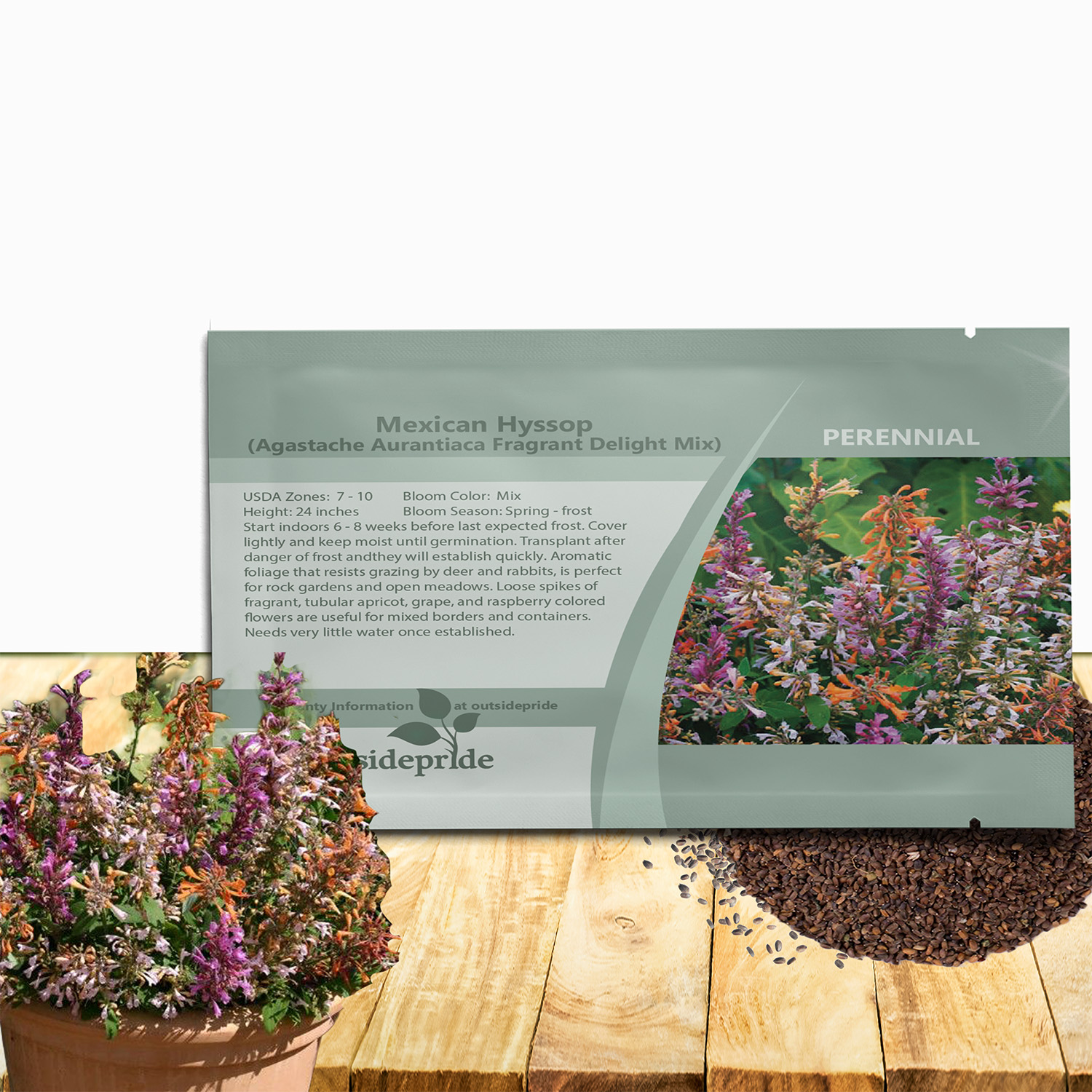 Agastache Fragrant Delight Seed Packet For Planting
