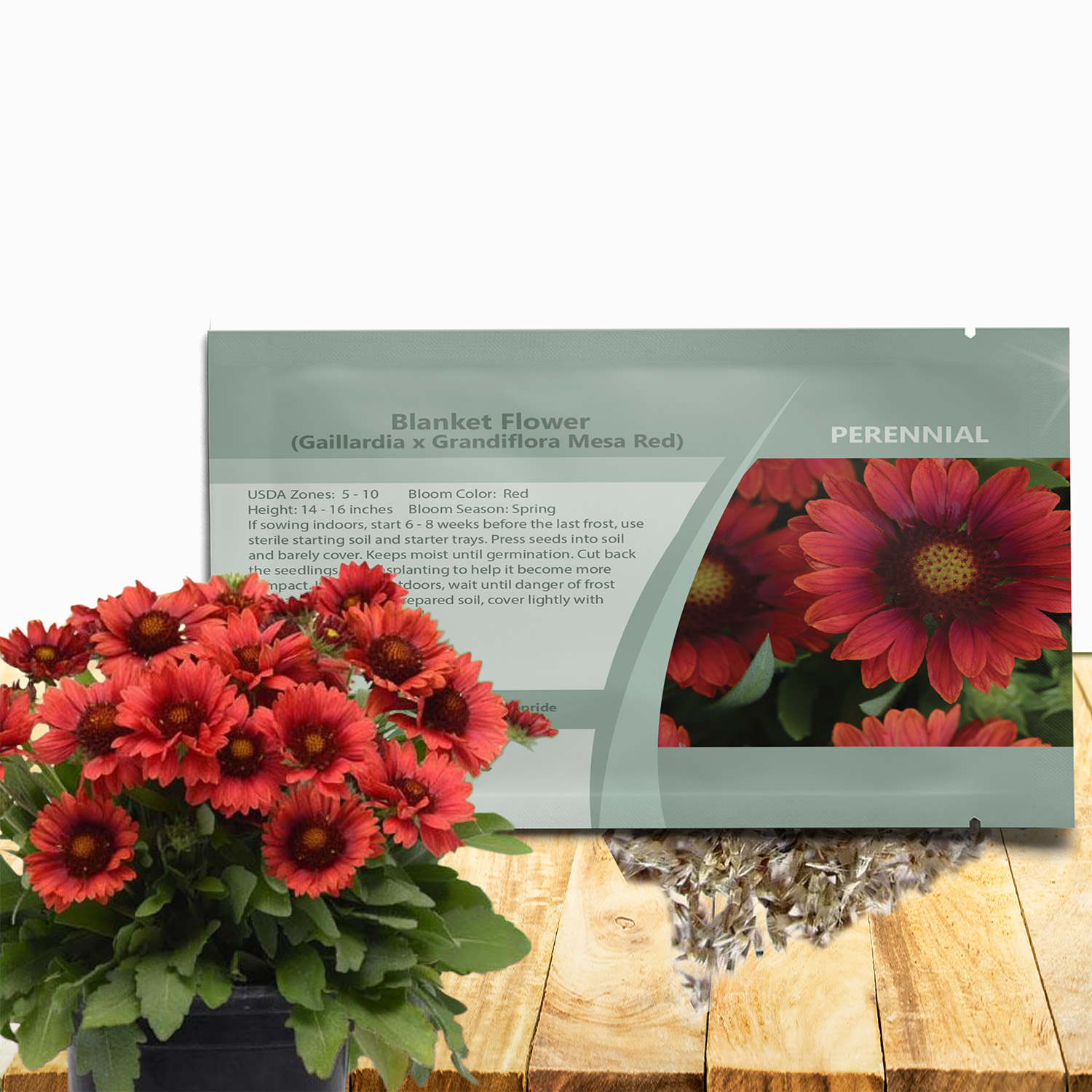 Gaillardia Mesa Red Seed Packet