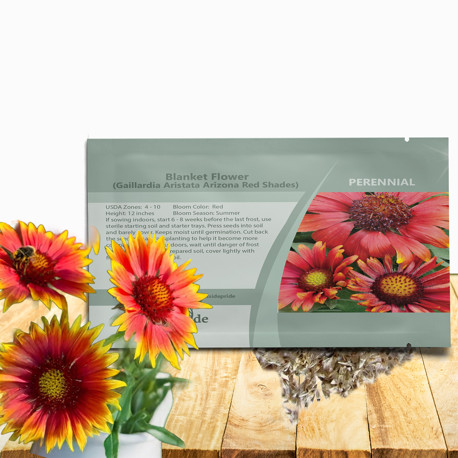 Gaillardia Aristata Arizona Red Shades