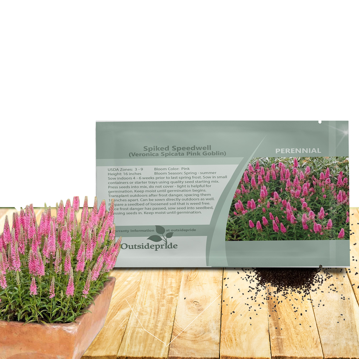 Veronica Pink Goblin Seed Packet