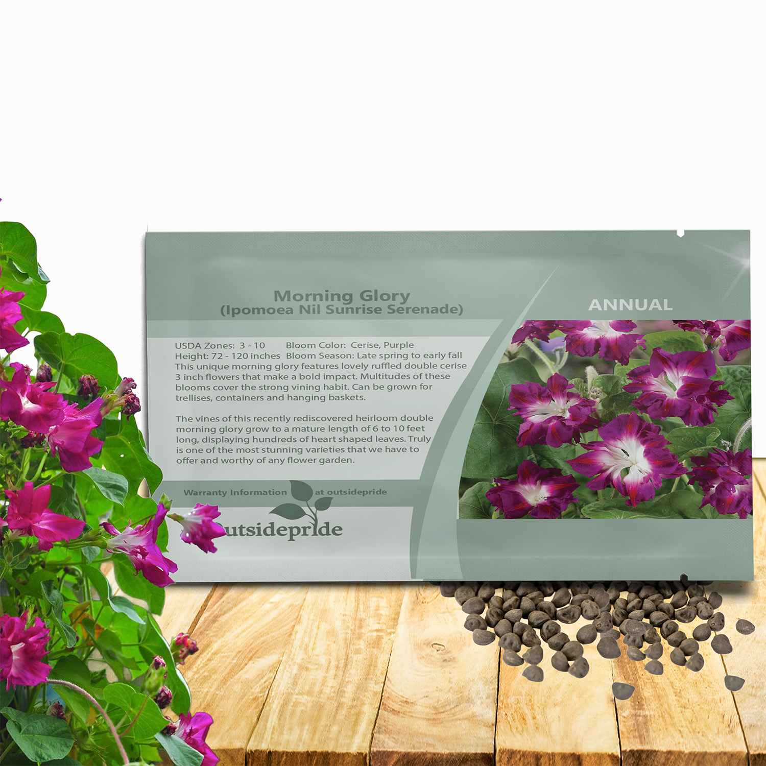 Morning Glory Sunrise Serenade Seed Packet