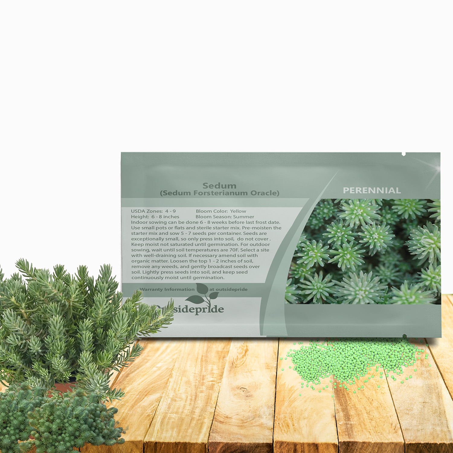 Sedum Oracle Seed Packet For Planting