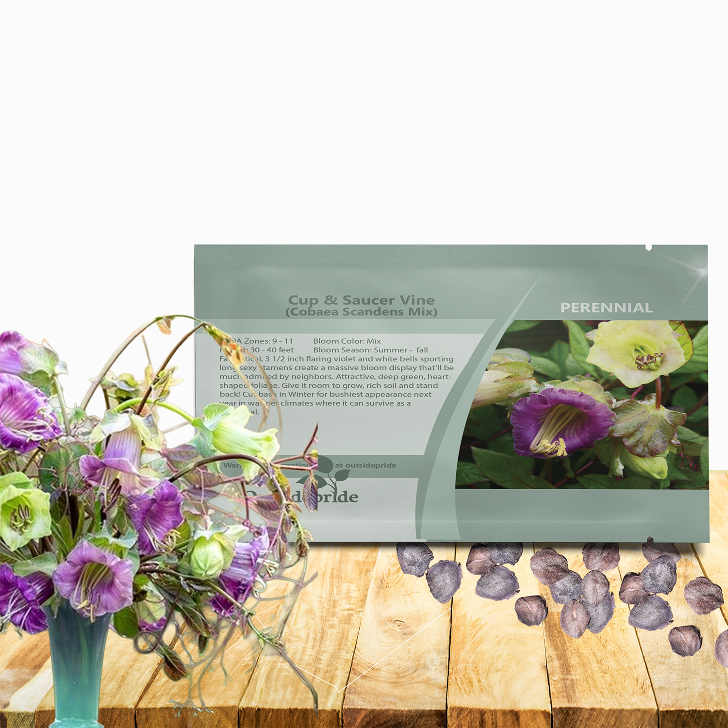 Cobaea Mix Flower Seed Packet For Planting