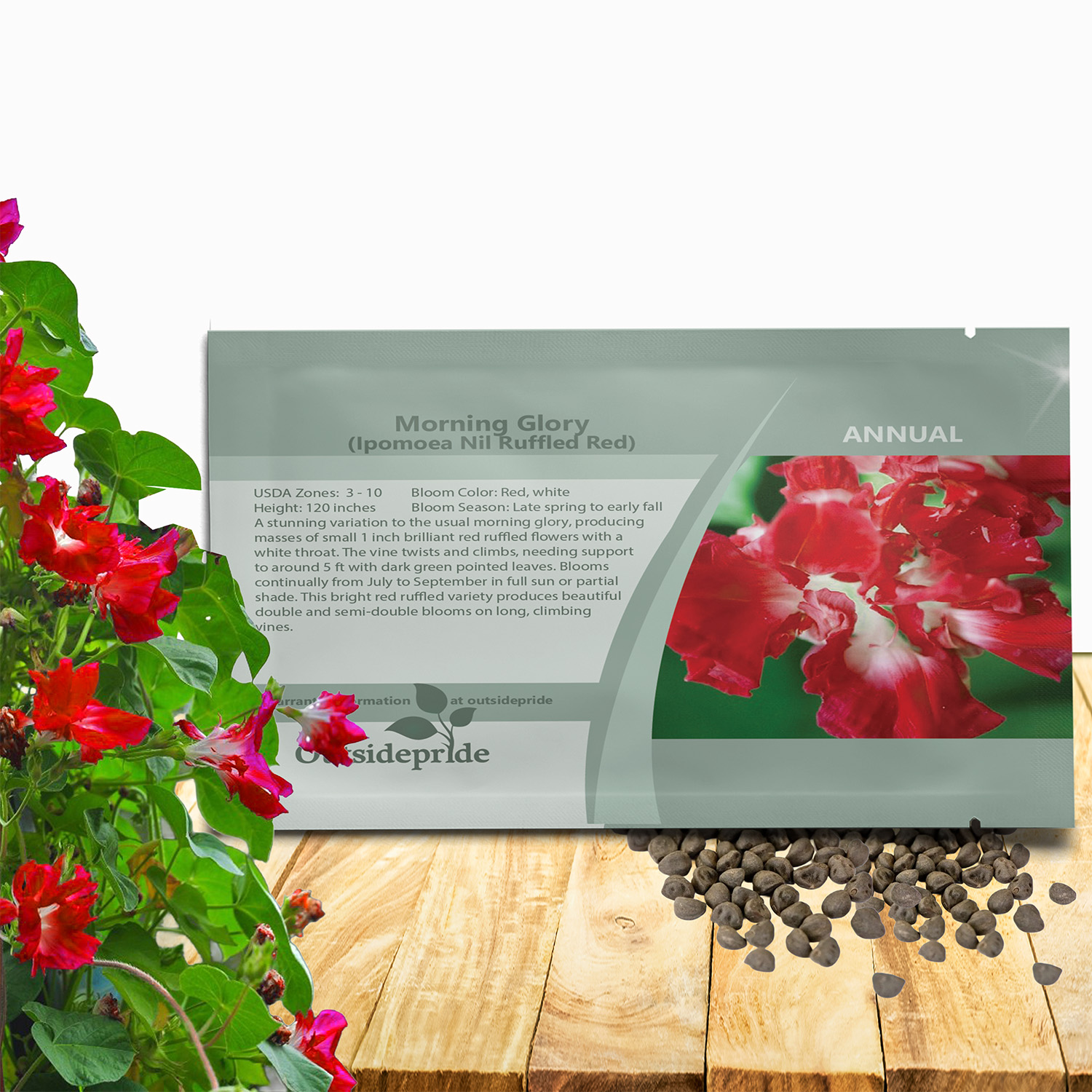 Annual Morning Glory Ruffled Red Seed Packet