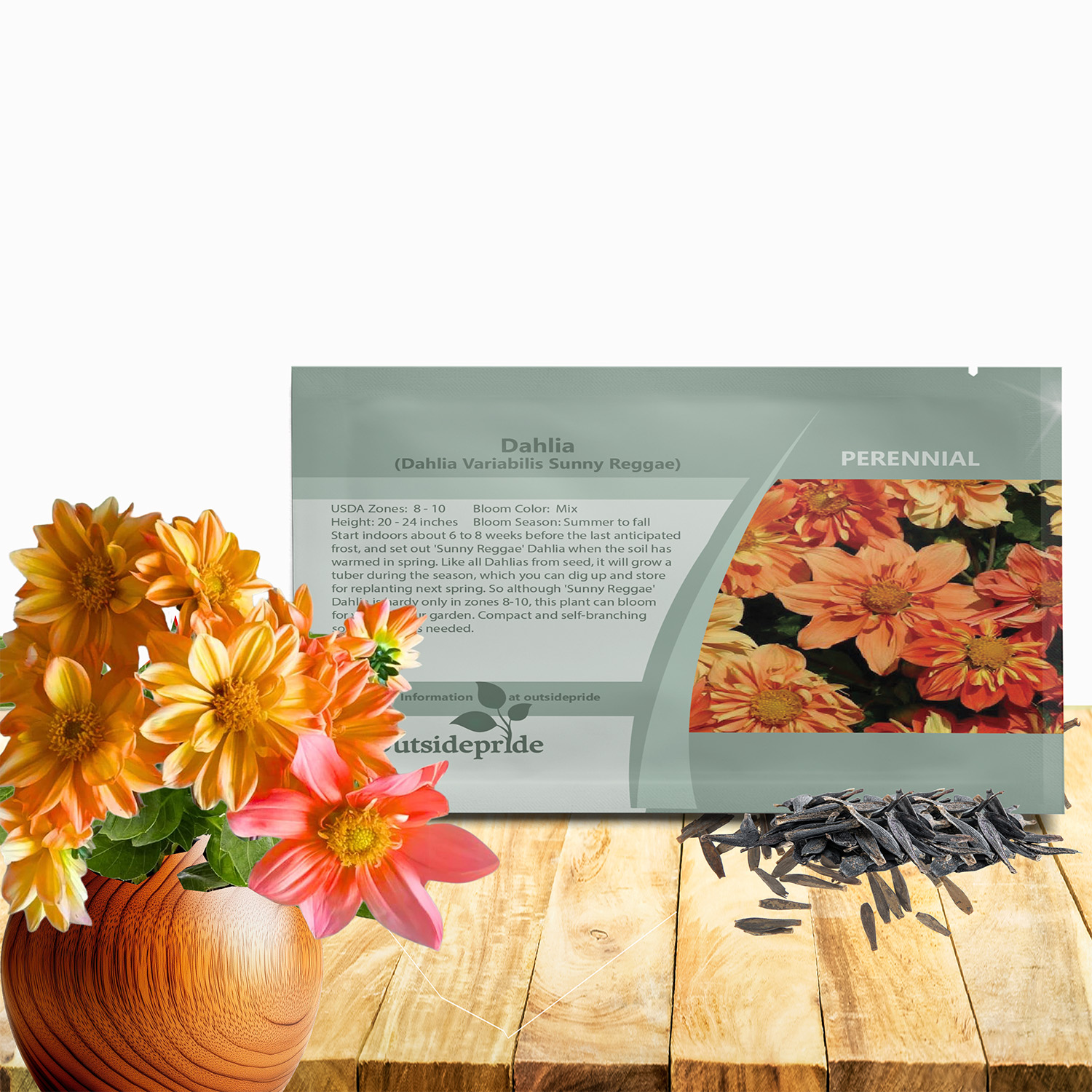 Dahlia Sunny Reggae Seed Packet For Planting