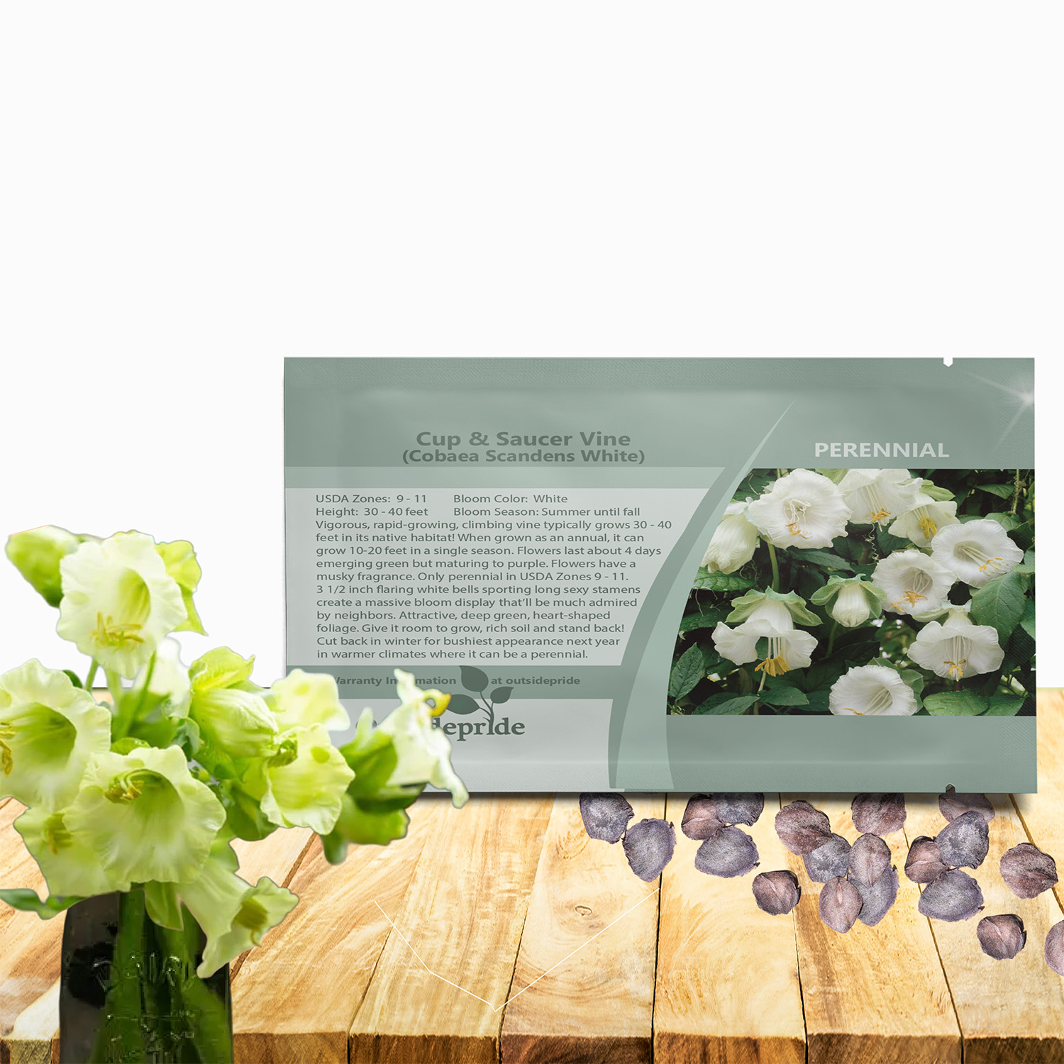 Cobaea White Flower Seed Packet For Planting