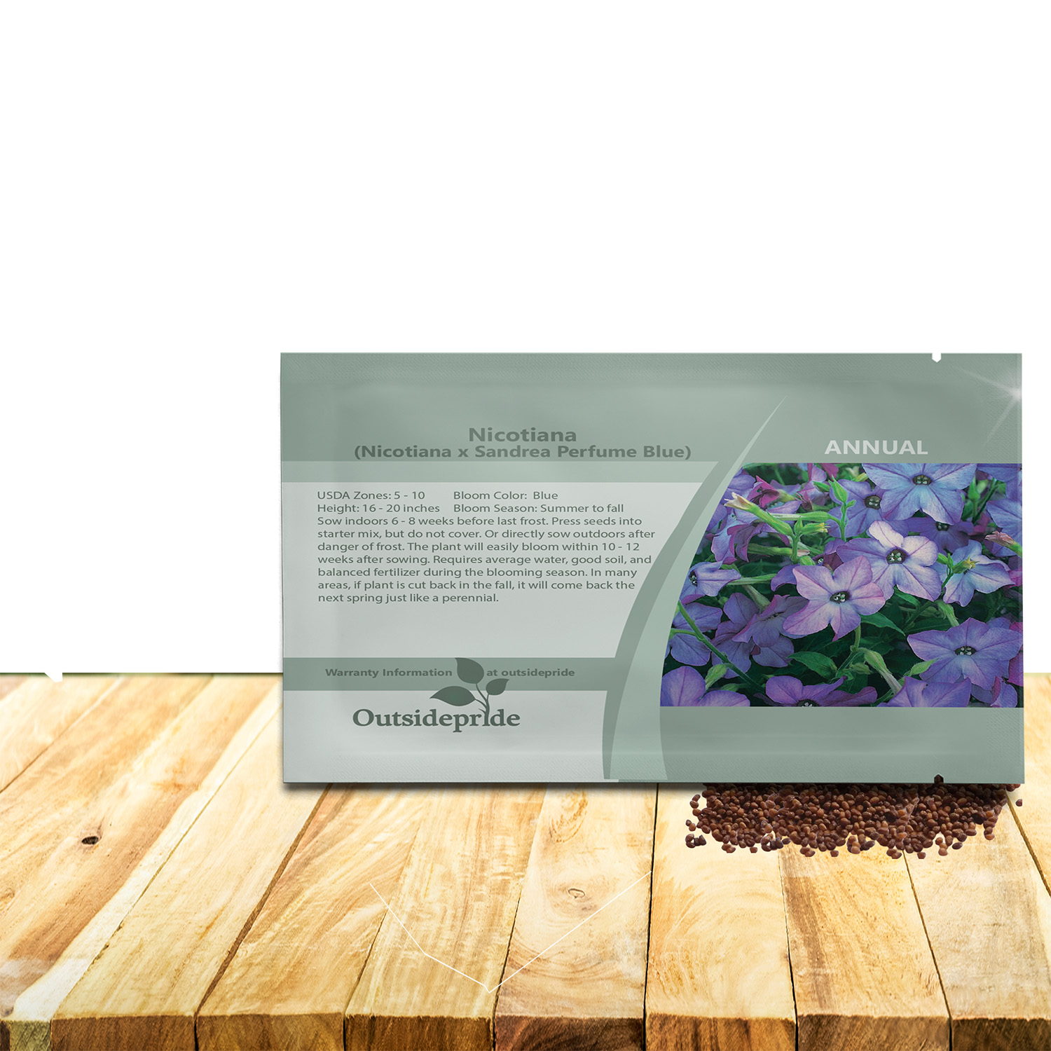 Nicotiana Perfume Blue Flowers