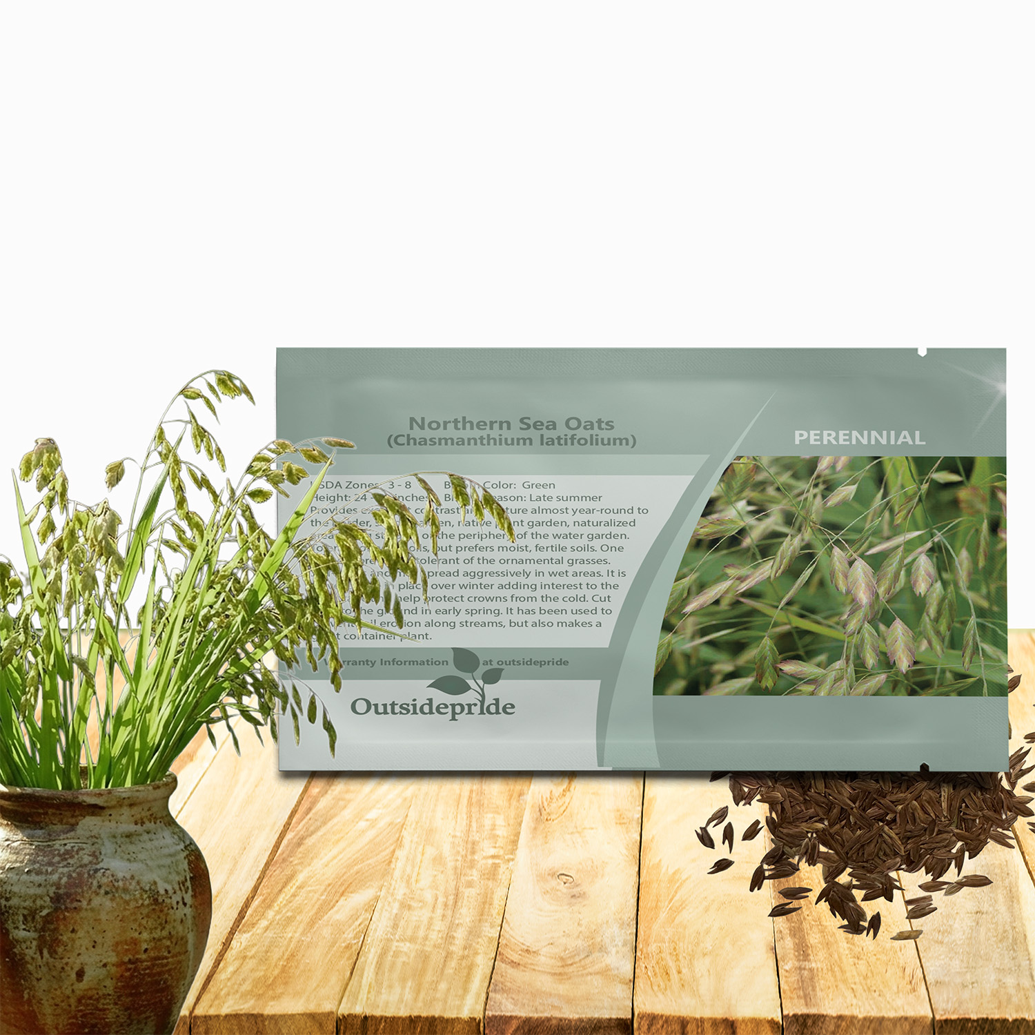 Northern Sea Oats Seed Packet