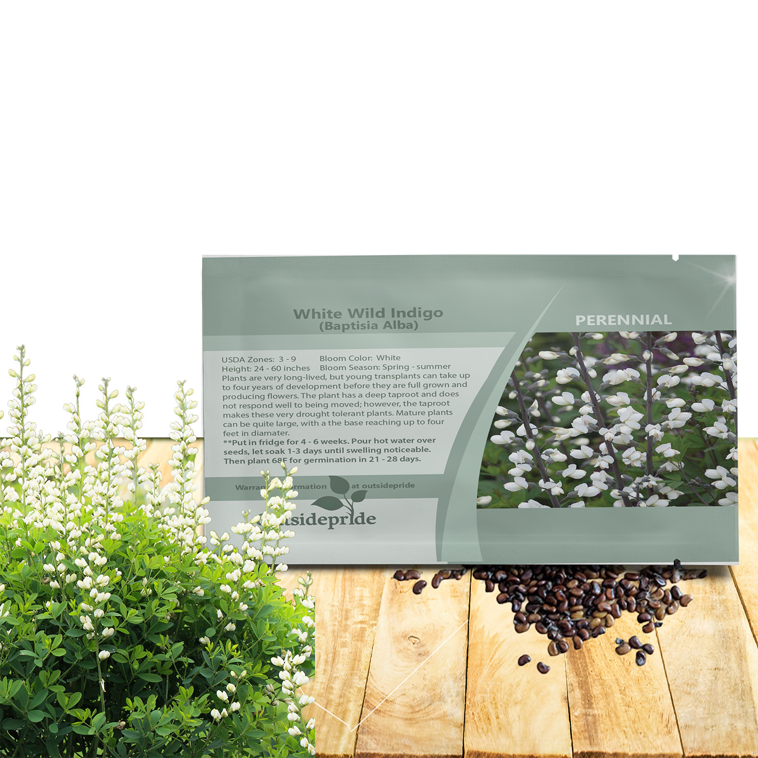 White Wild Indigo Seed Packet For Planting