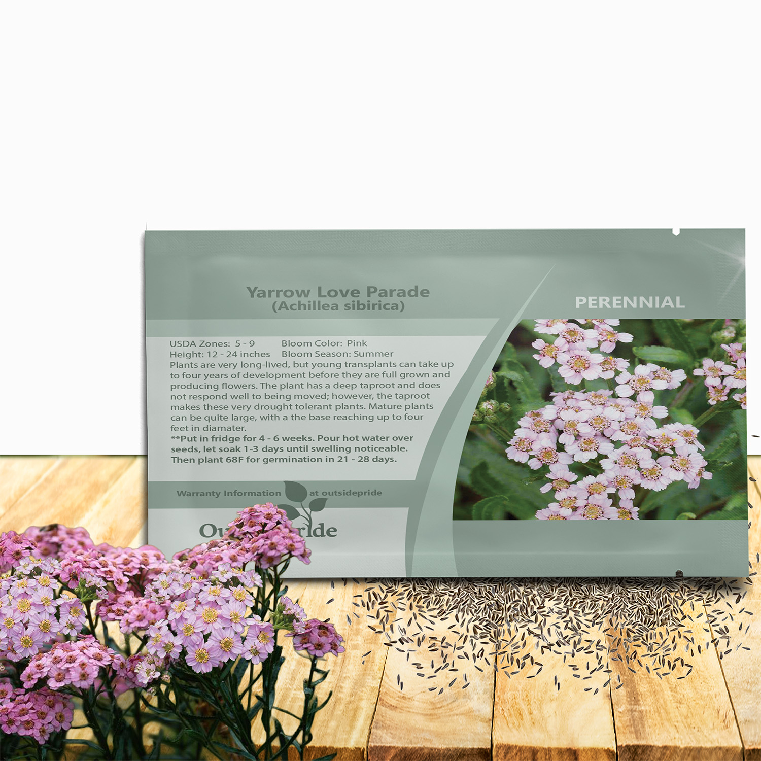 Achillea Love Parade Seed Packet