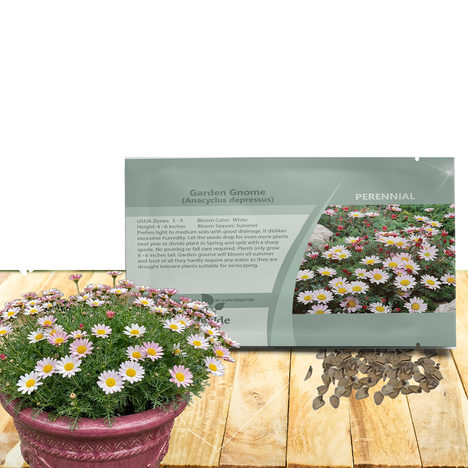 Garden Gnome Seed Packet Mix