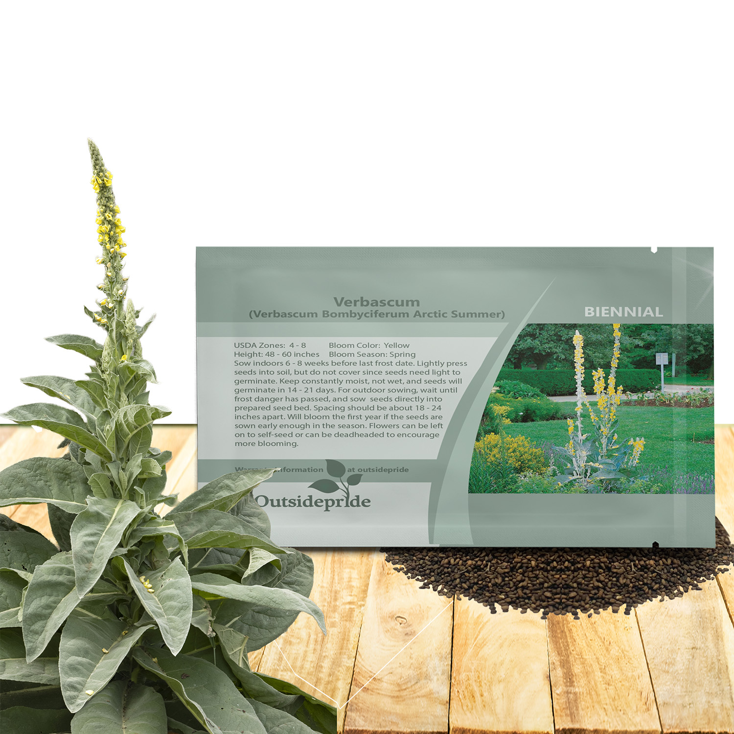 Verbascum Arctic Summer Flower Seed Packet