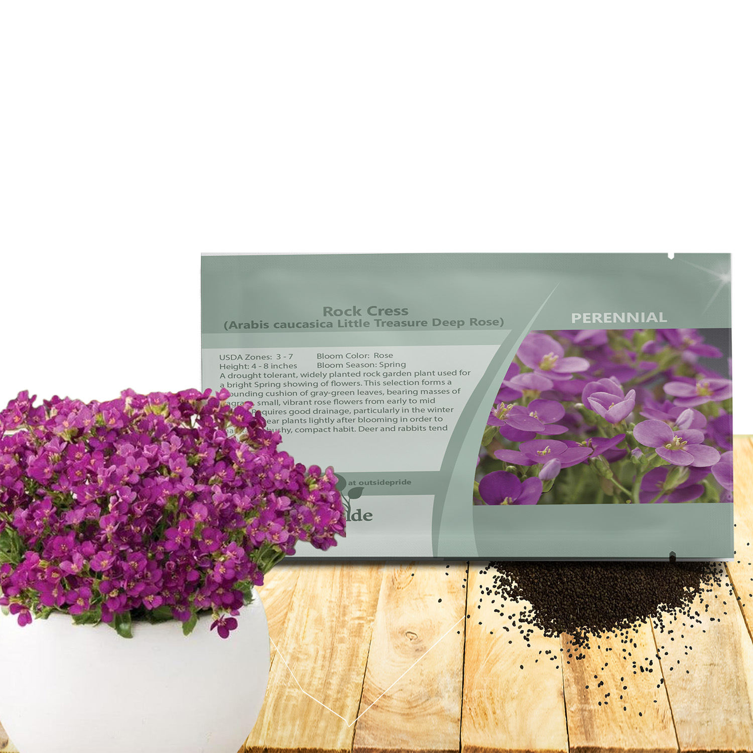 Arabis Deep Rose Seed Packet