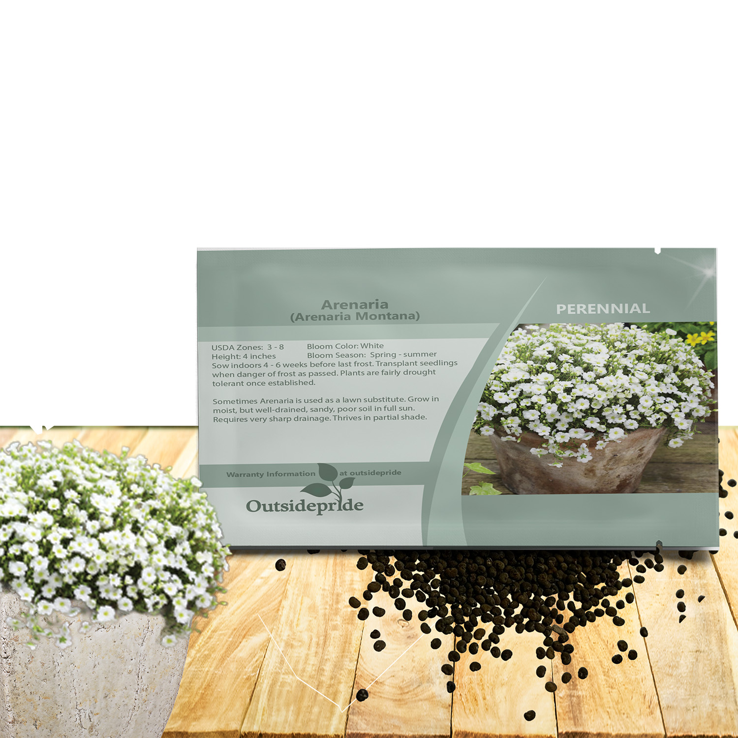 Arabis Little Treasure White Seed Packet