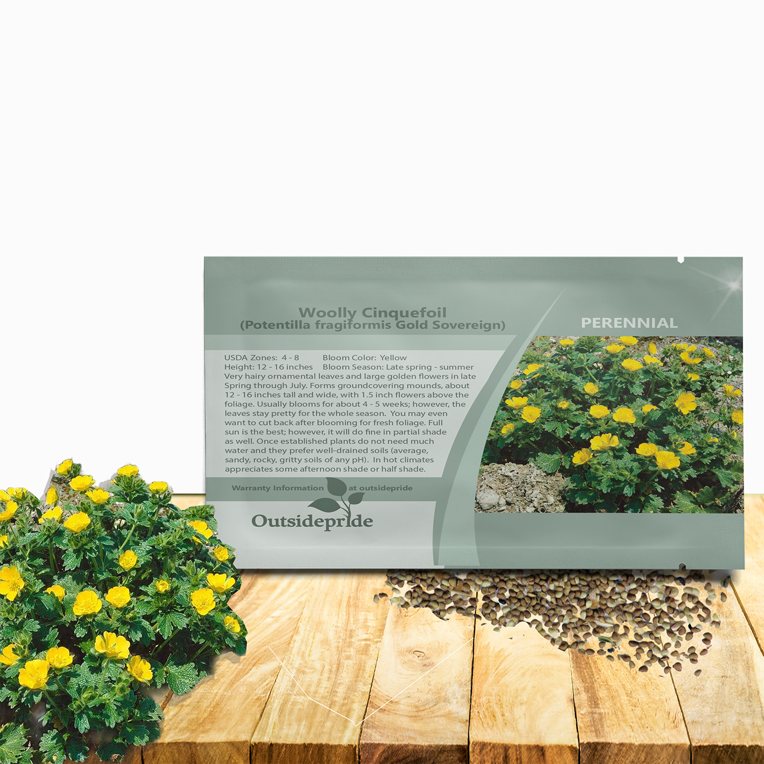 Cinquefoil Gold Flower Seed Packet For Planting