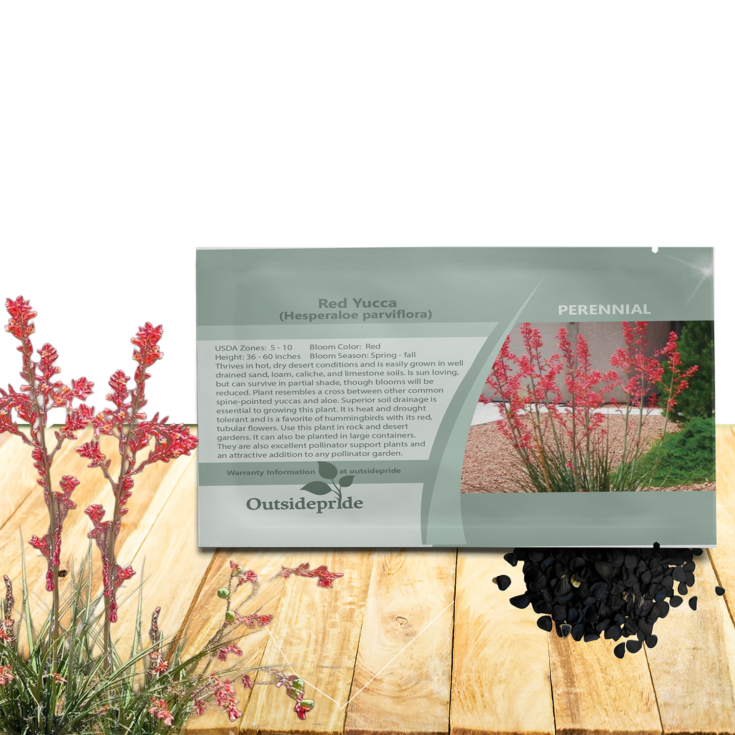 Red Yucca Ornamental Seed Seed Packet