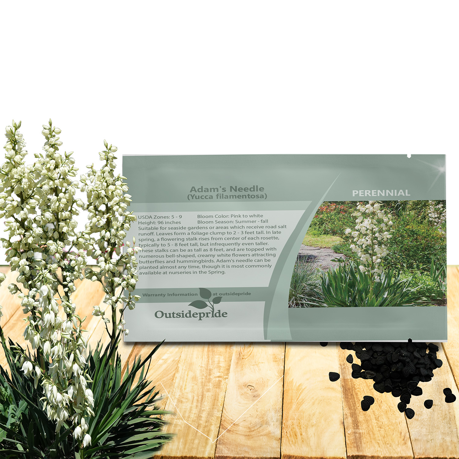 Yucca filamentosa Ornamental Seed Seed Packet