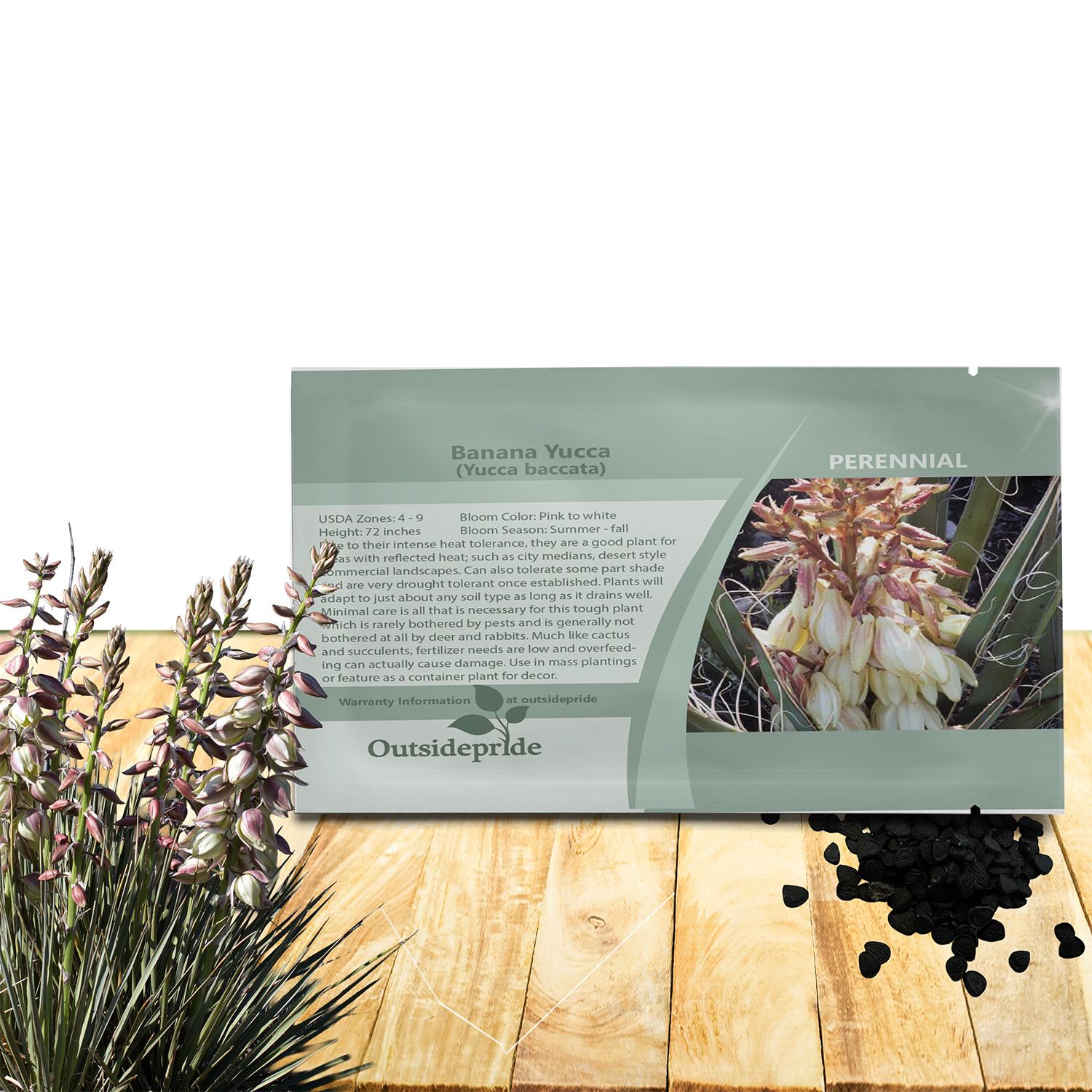 Yucca Baccata Seeds For Planting