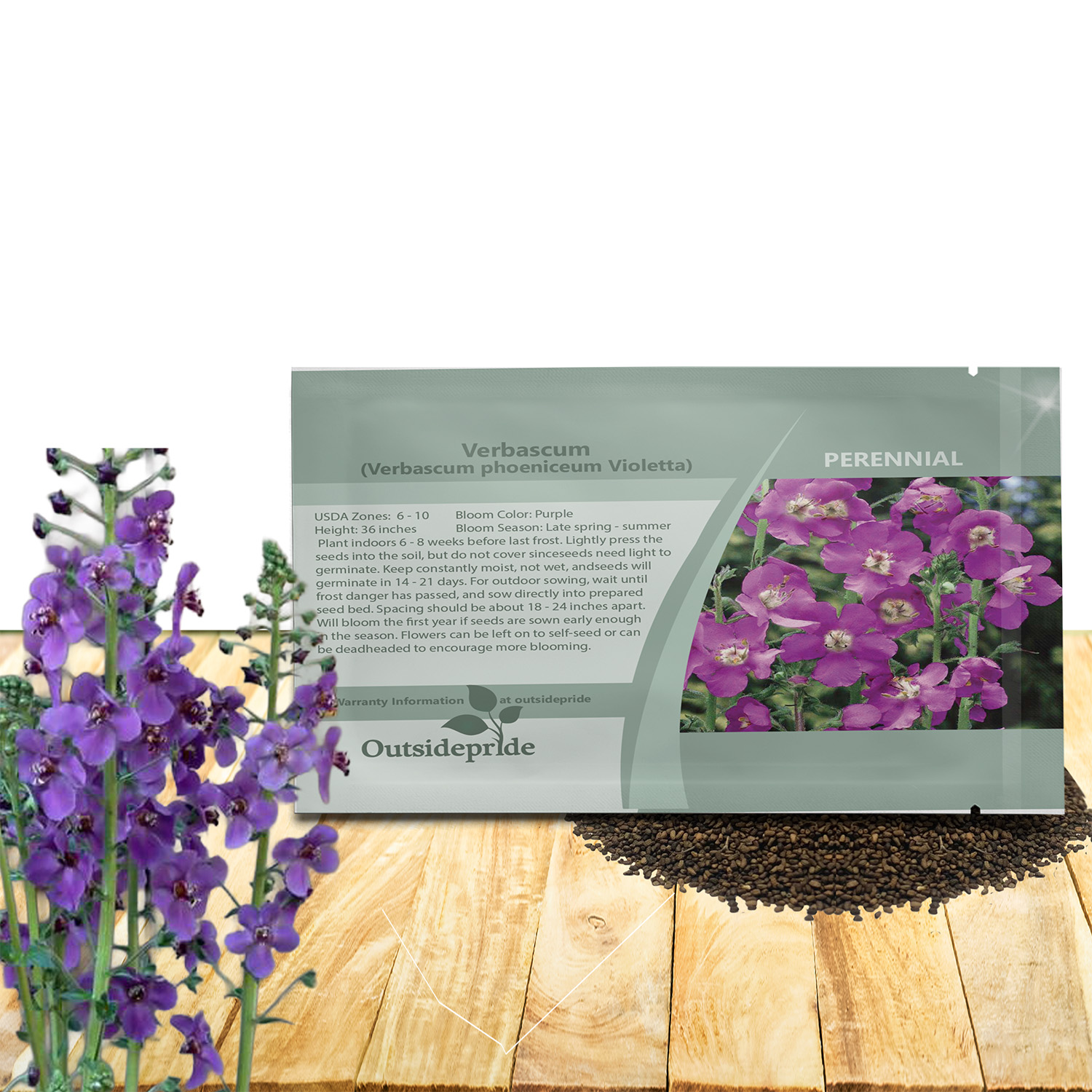 Verbascum Violetta Flower Seed Packet