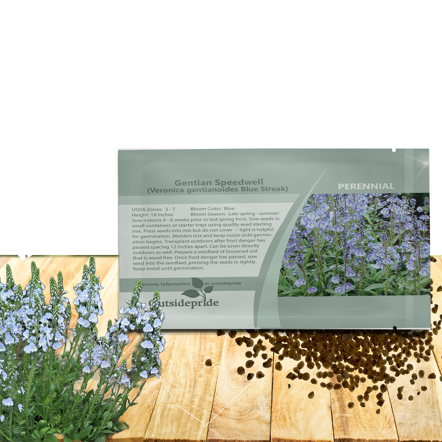 Veronica Blue Streak Seed Packet
