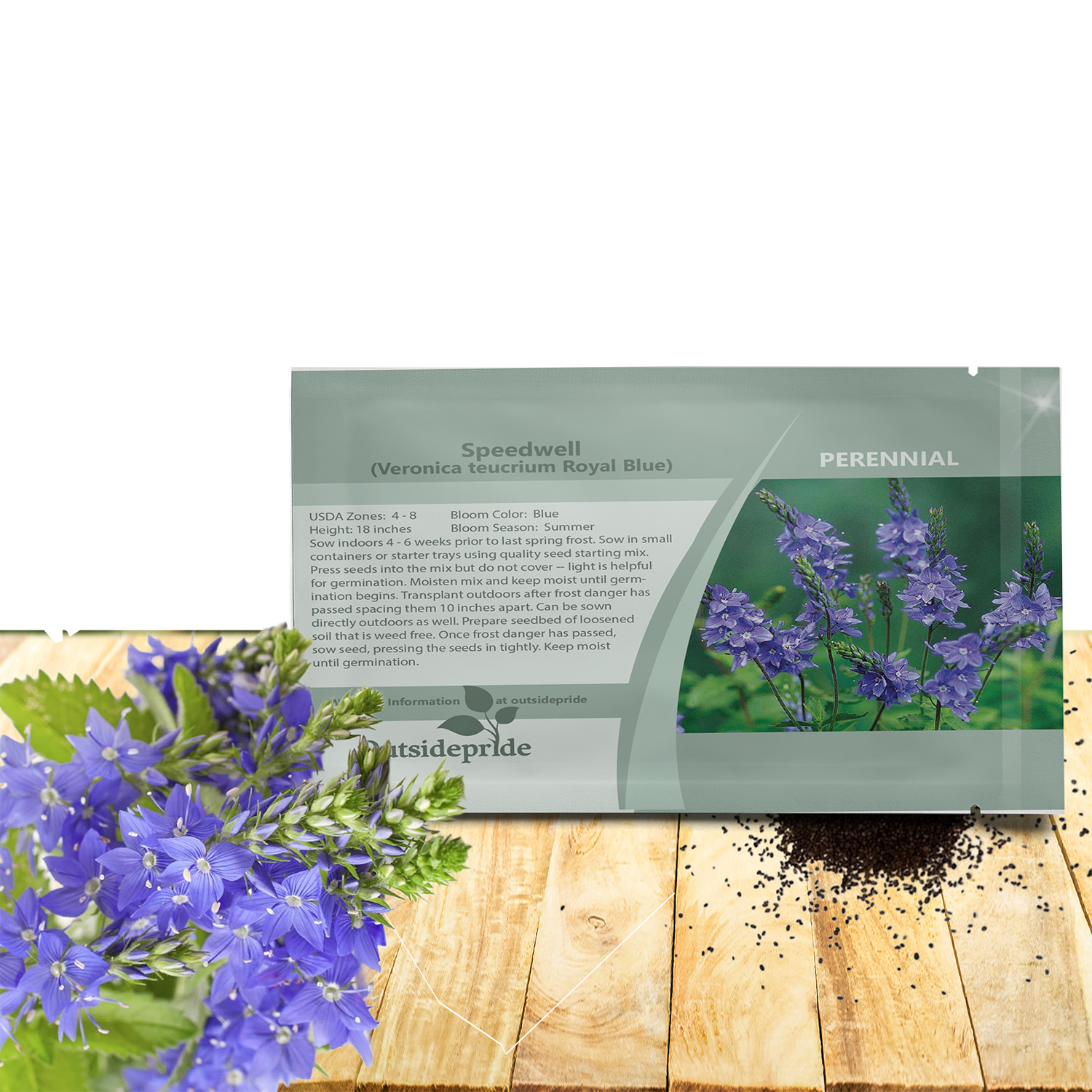 Veronica Royal Blue Seed Packet