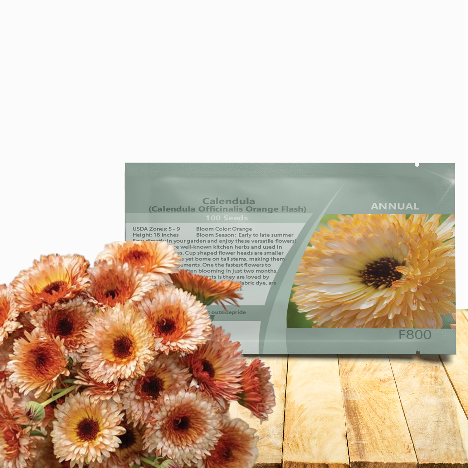 Calendula Orange Flash Flower Seed Packet