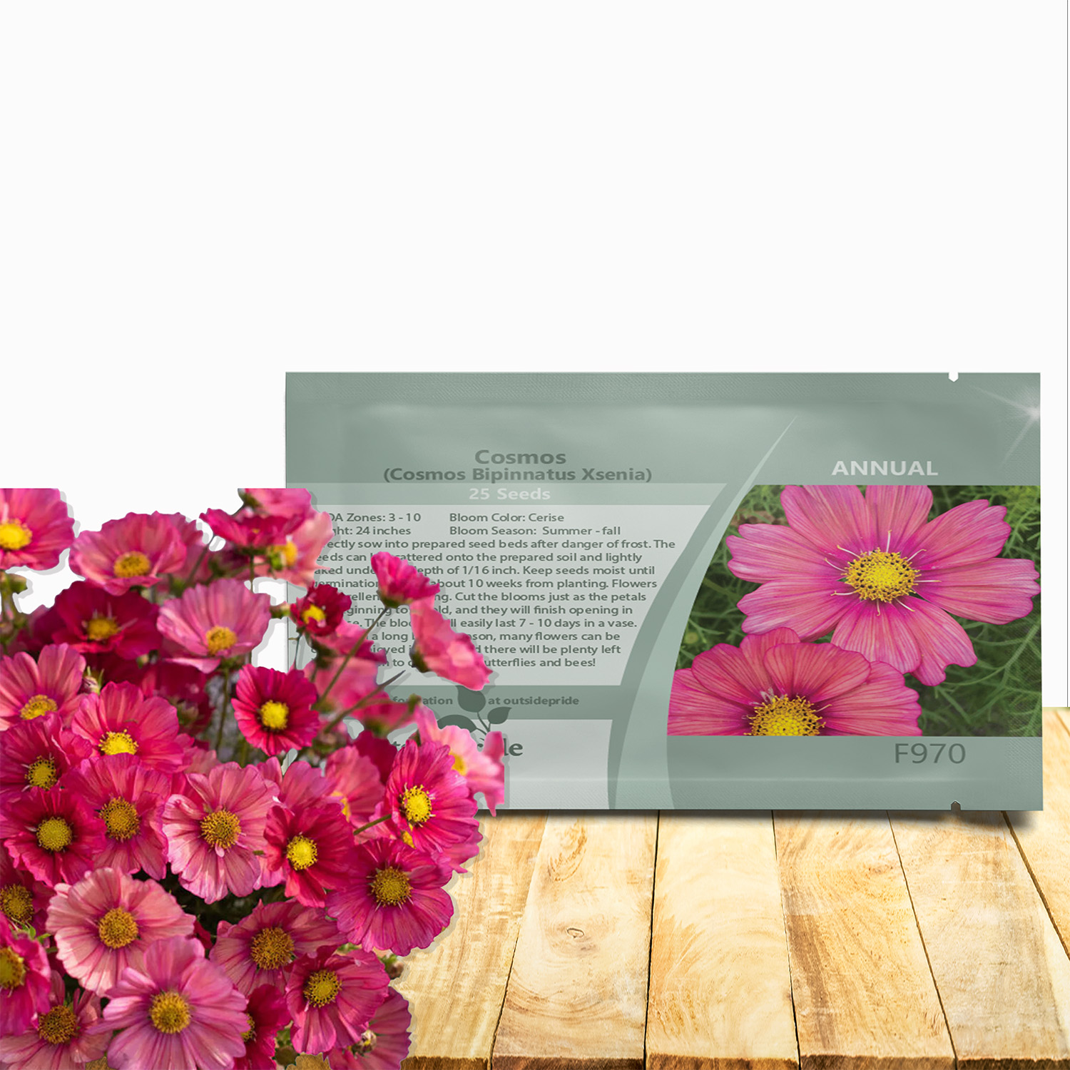 Cosmos Xsenia Flower Seeds Packet