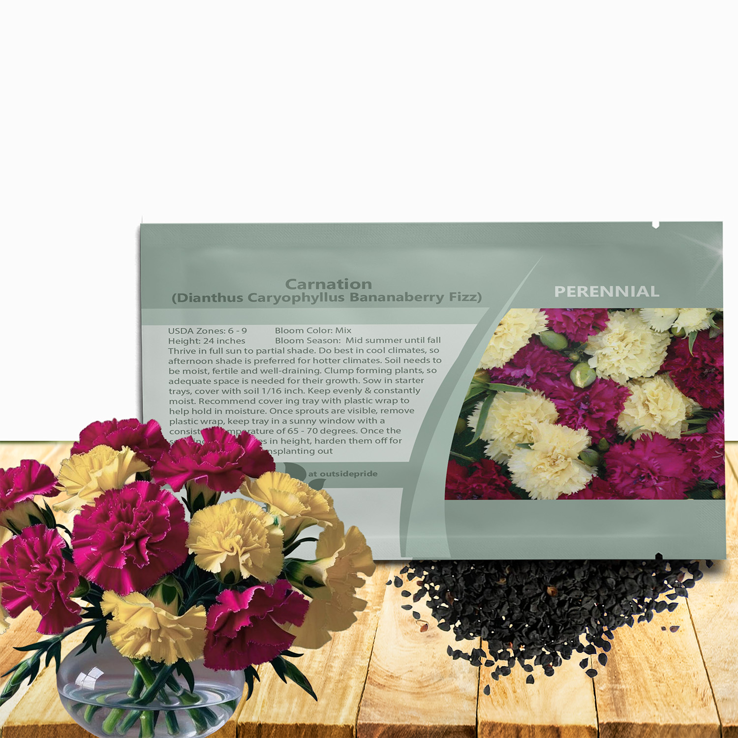 Carnation Bananaberry Fizz Seed Packet