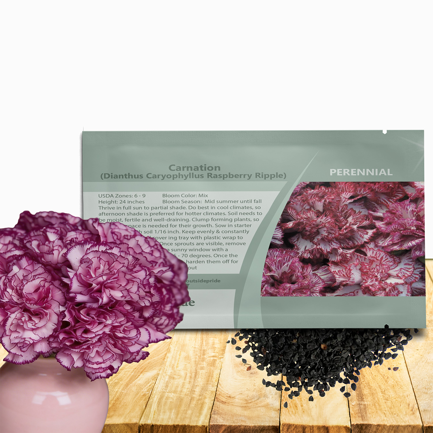 Carnation Raspberry Ripple Seed Packet For Planting