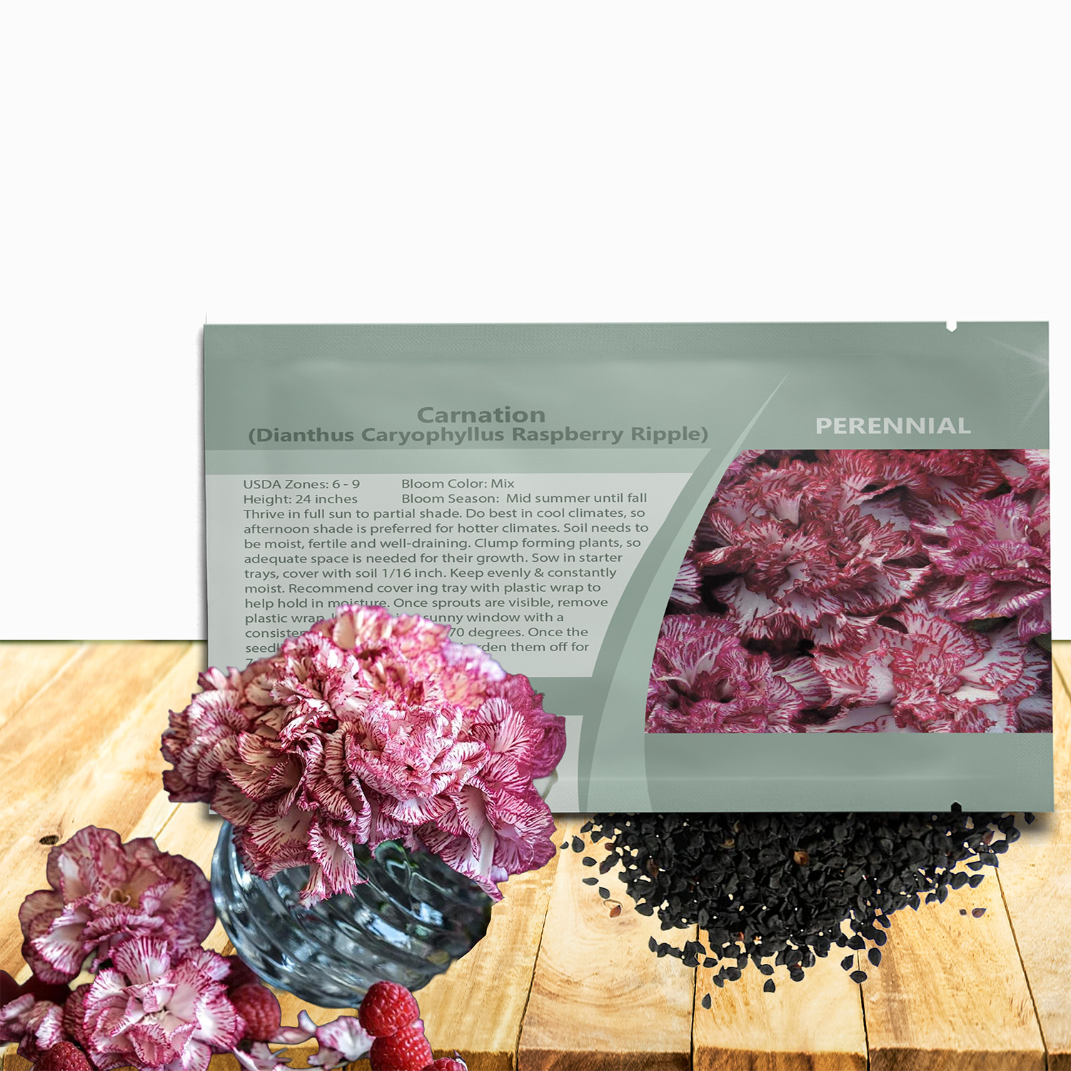Carnation Raspberry Ripple Seed Packet For Planting