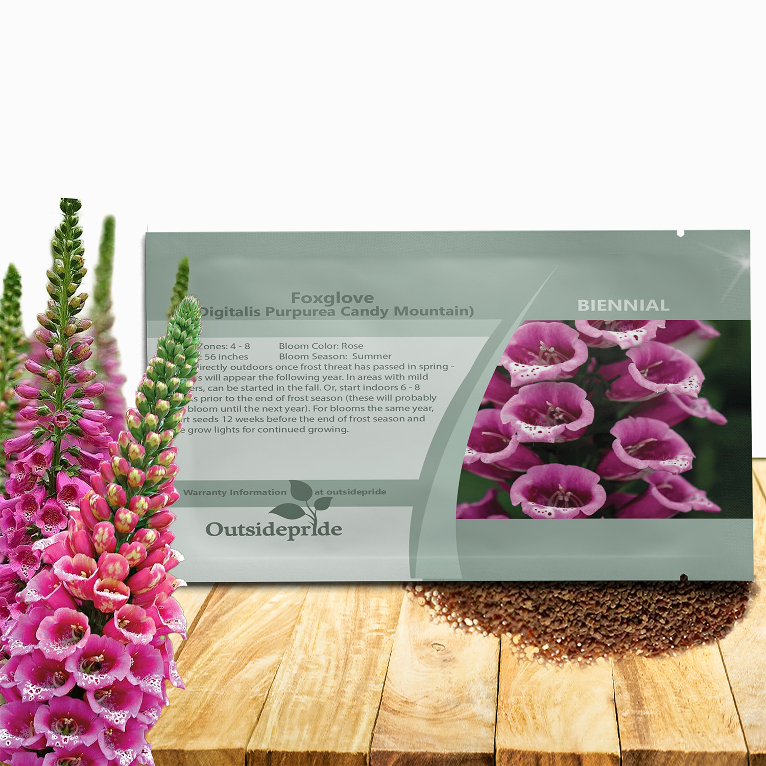 Foxglove Candy Mountain Seed Packet For Planting