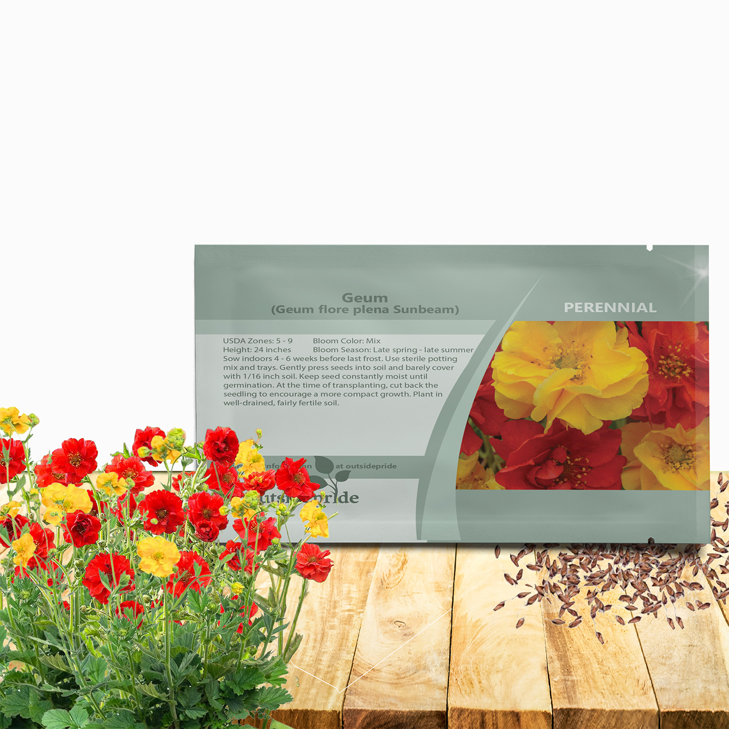 Geum Sunbeam Flower Seed Packet For Planting