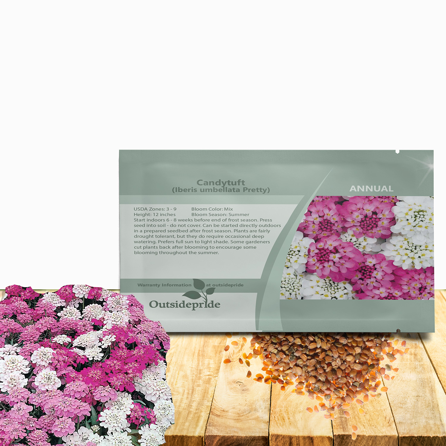 Candytuft Pretty Flower Seed Packet For Planting